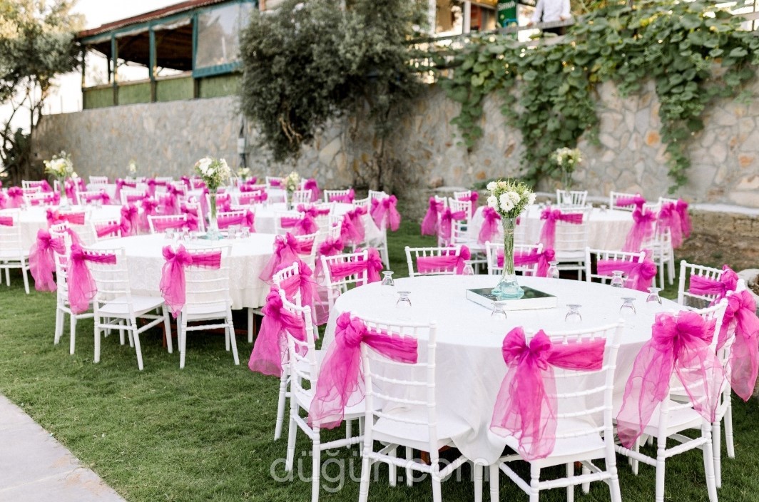 Ede Plus Kır Düğünü