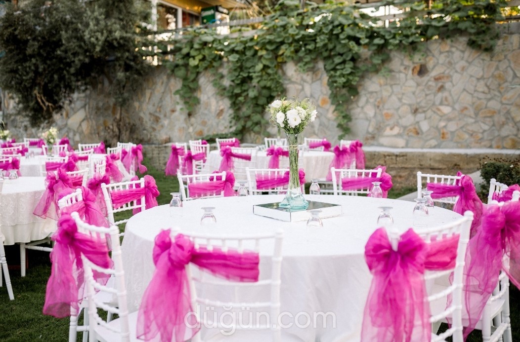 Ede Plus Kır Düğünü