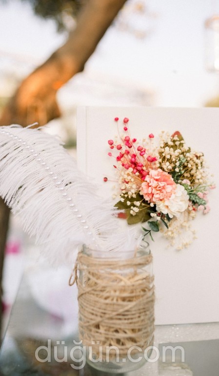 Ede Plus Kır Düğünü