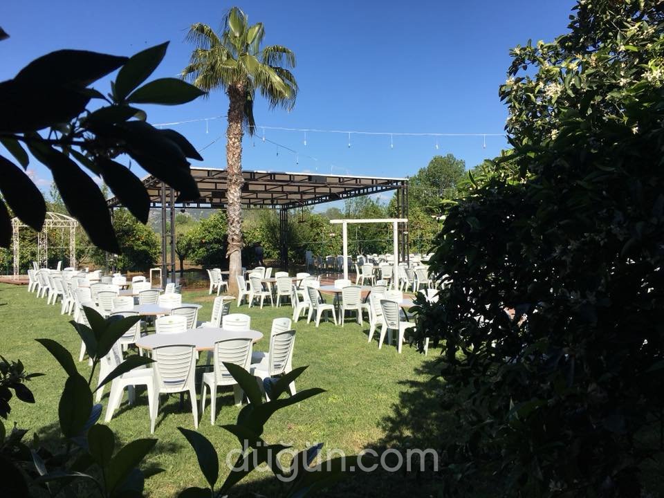 Belek Balık Evi Restaurant