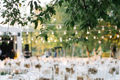 Zeytinpark Kır Düğünü