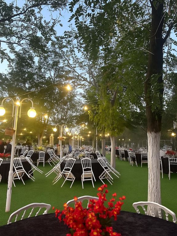 Zeytinpark Kır Düğünü