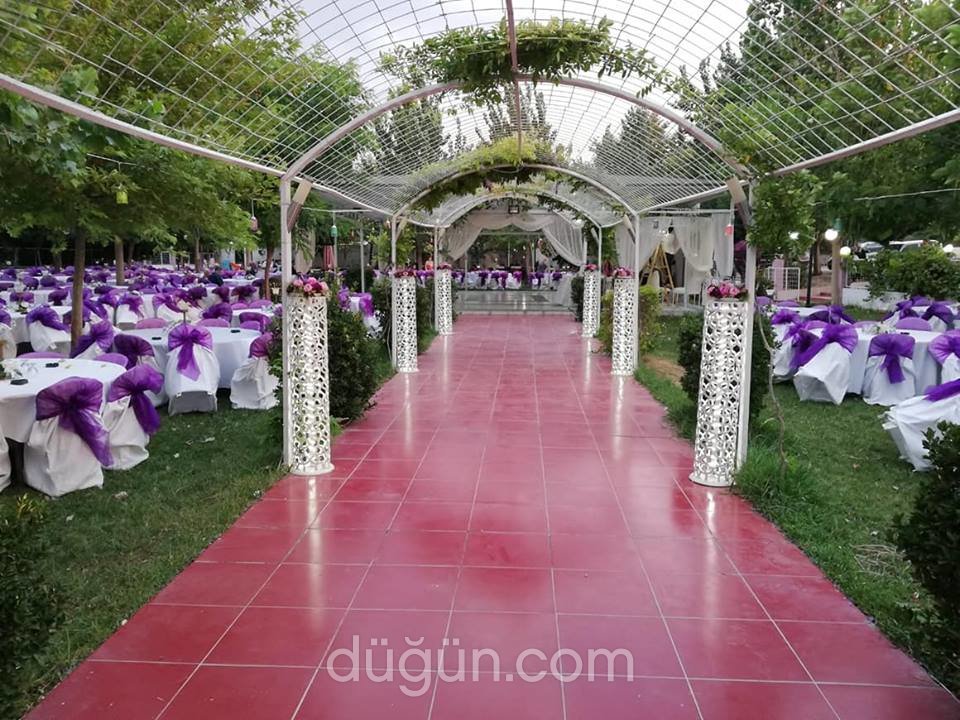 Zeytinpark Kır Düğünü