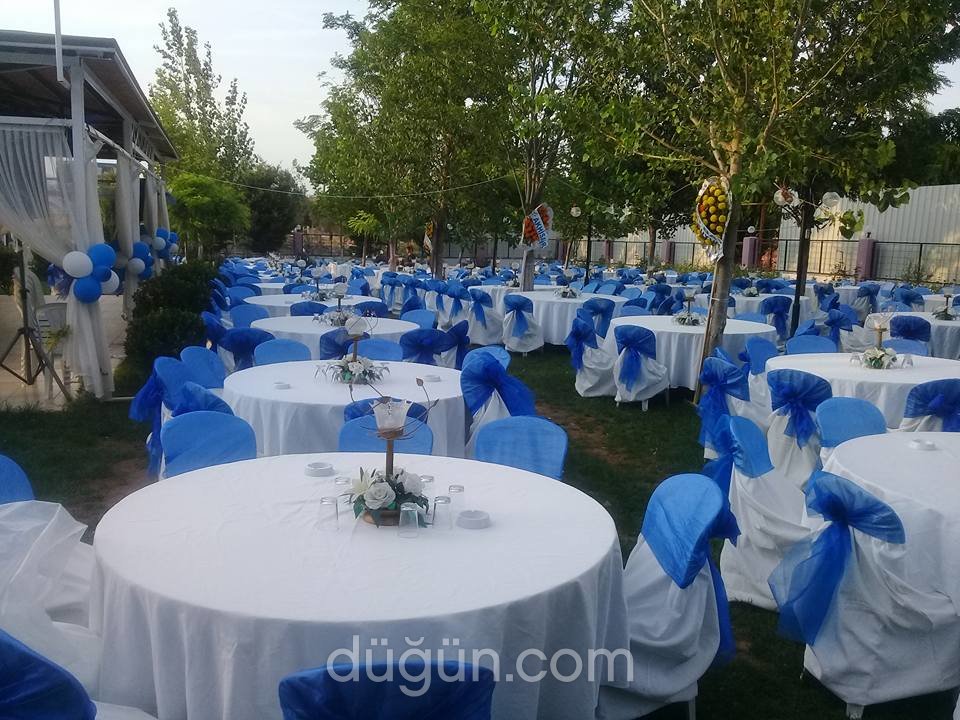 Zeytinpark Kır Düğünü