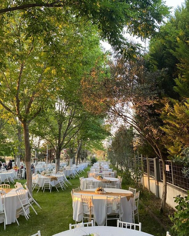Zeytinpark Kır Düğünü