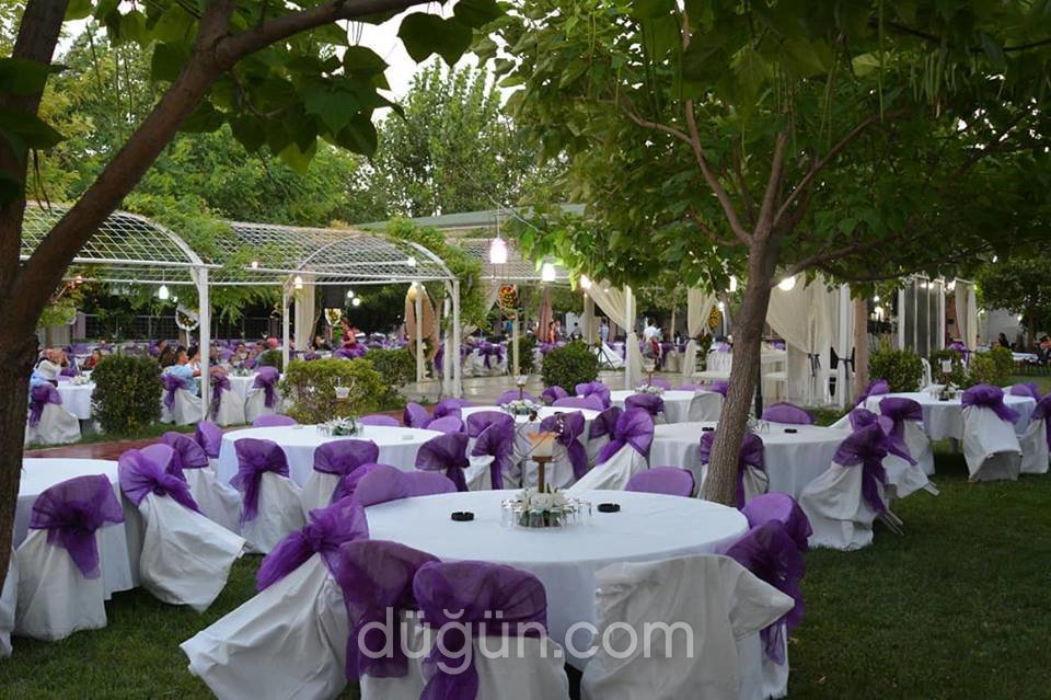 Zeytinpark Kır Düğünü