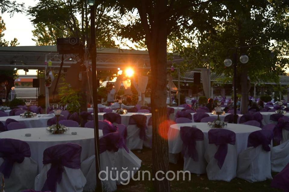 Zeytinpark Kır Düğünü