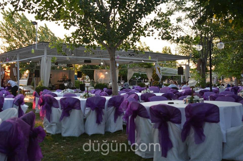 Zeytinpark Kır Düğünü