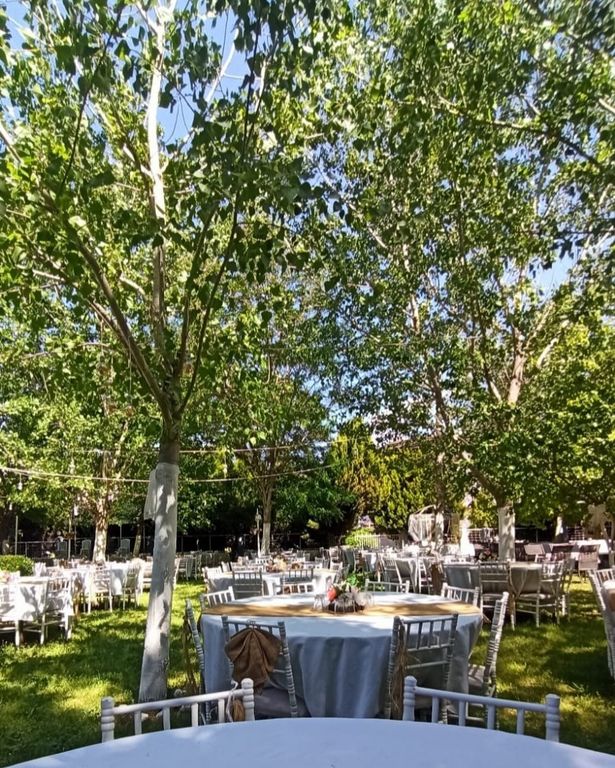 Zeytinpark Kır Düğünü