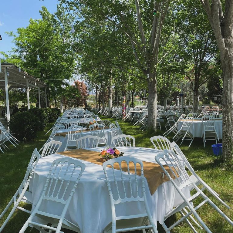Zeytinpark Kır Düğünü