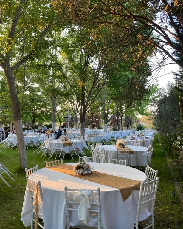 Zeytinpark Kır Düğünü