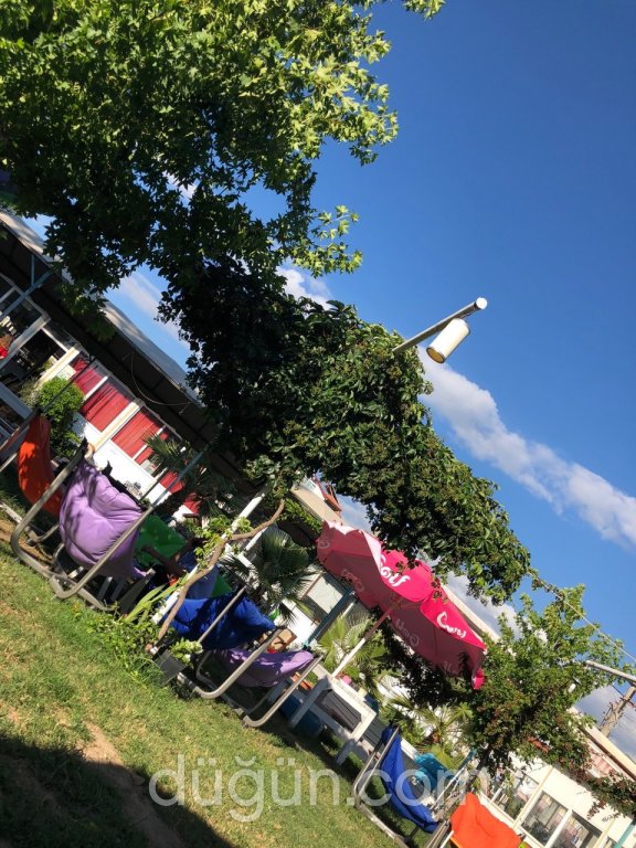 Ardıç Kır Bahçesi