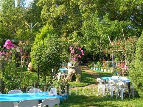 Tire Değirmen Şelale Restaurant