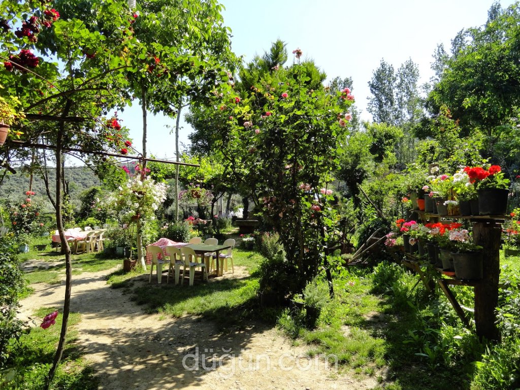 Tire Değirmen Şelale Restaurant