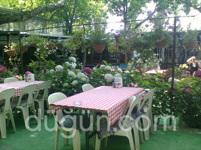 Tire Değirmen Şelale Restaurant