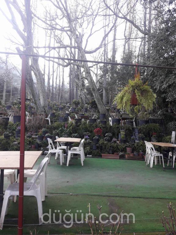 Tire Değirmen Şelale Restaurant