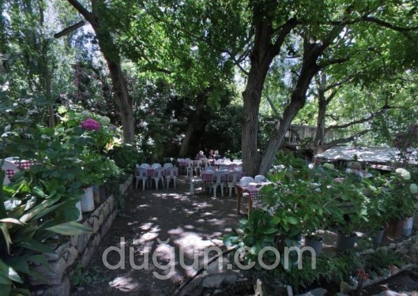 Tire Değirmen Şelale Restaurant