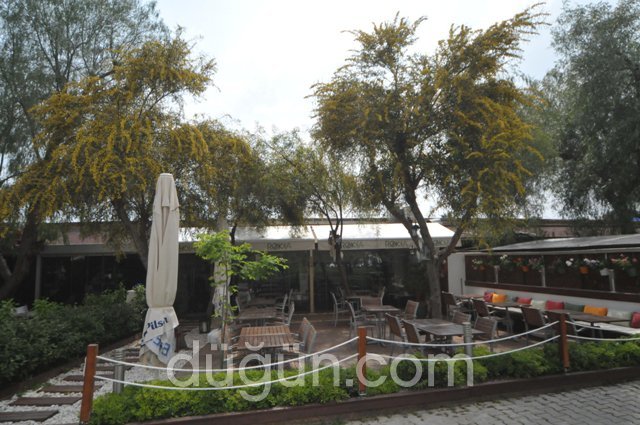 Rokka Restaurant