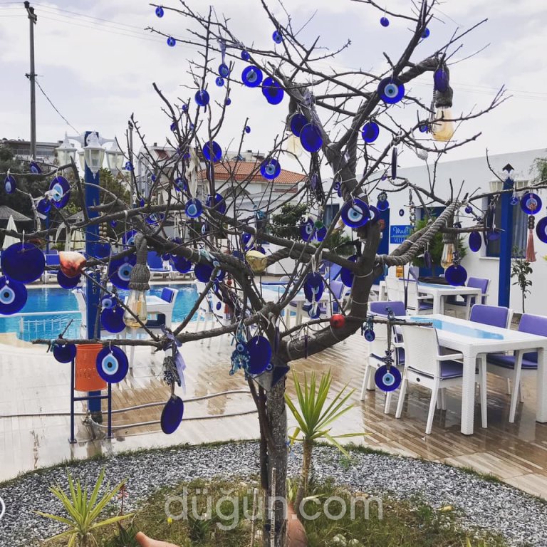 Mavi Restaurant & Bistro