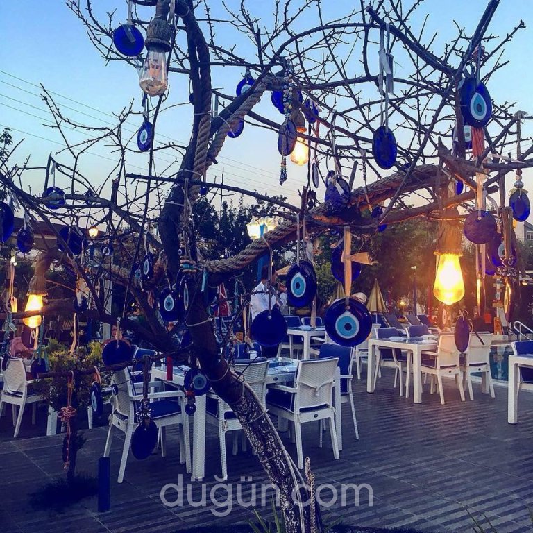 Mavi Restaurant & Bistro