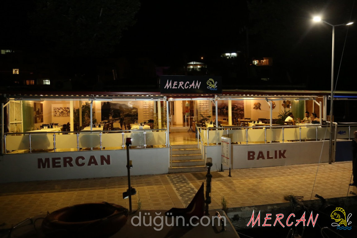 Mercan Balık