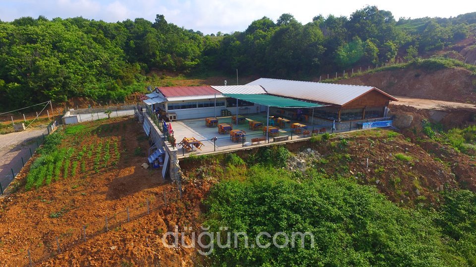 Kaptan Köşkü Balık Restaurant