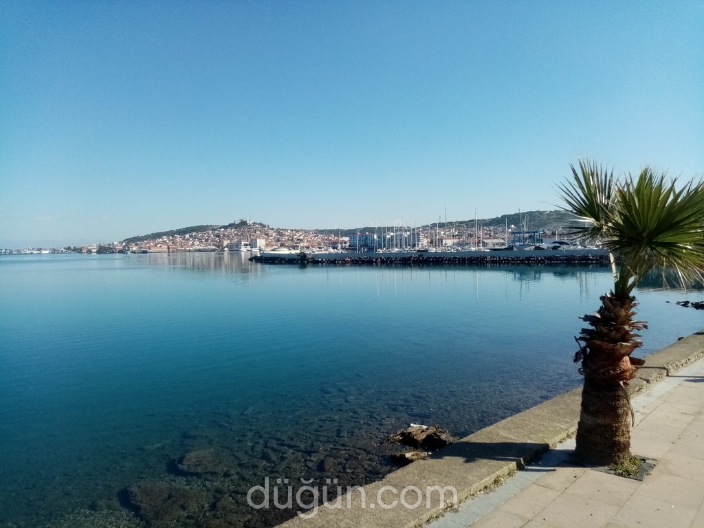 Bloom Restaurant & Bar