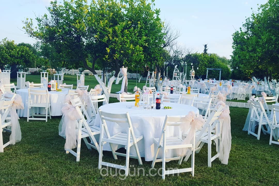 Park Beyaz Ortaca Kır Düğün Evi