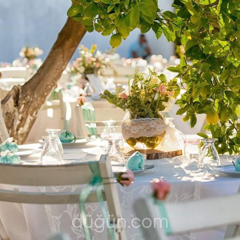 Park Beyaz Ortaca Kır Düğün Evi