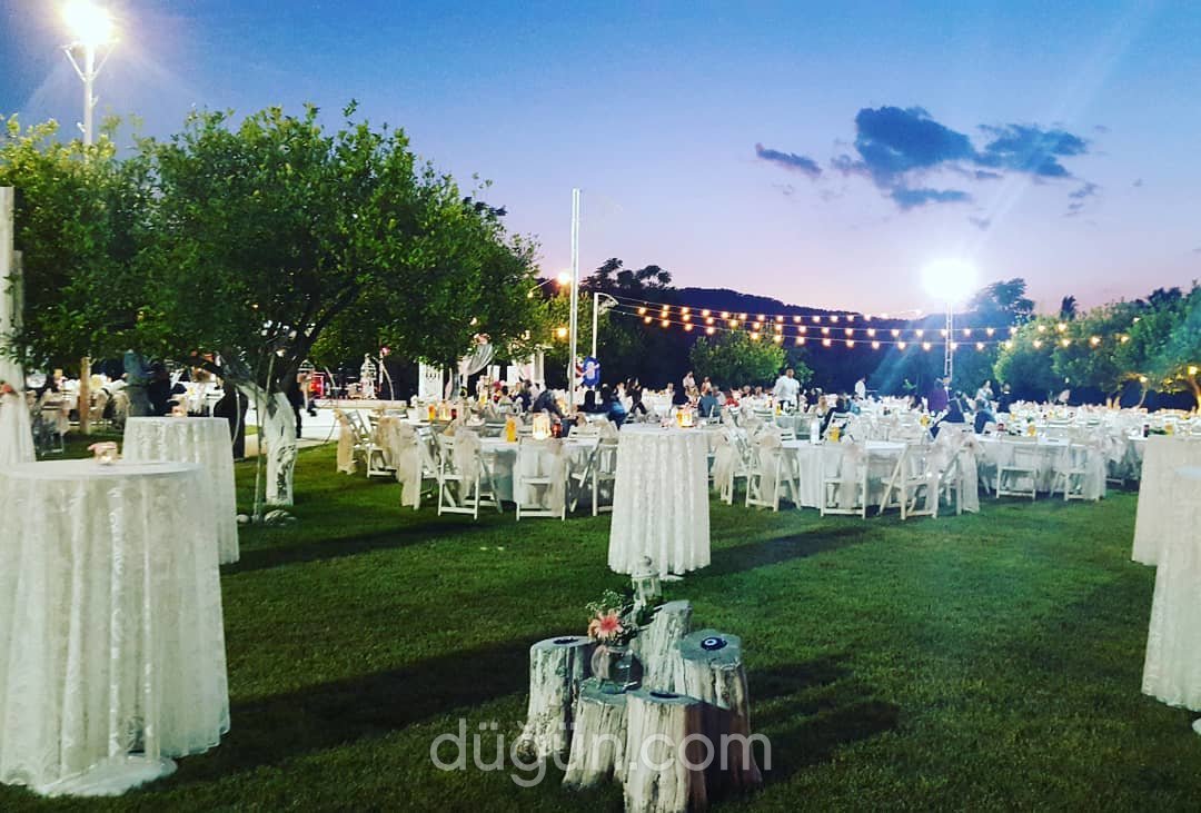 Park Beyaz Ortaca Kır Düğün Evi