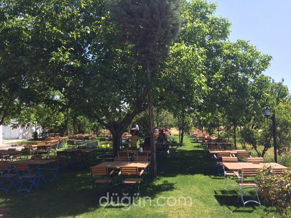 Paşa Restaurant