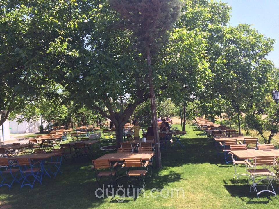Paşa Restaurant