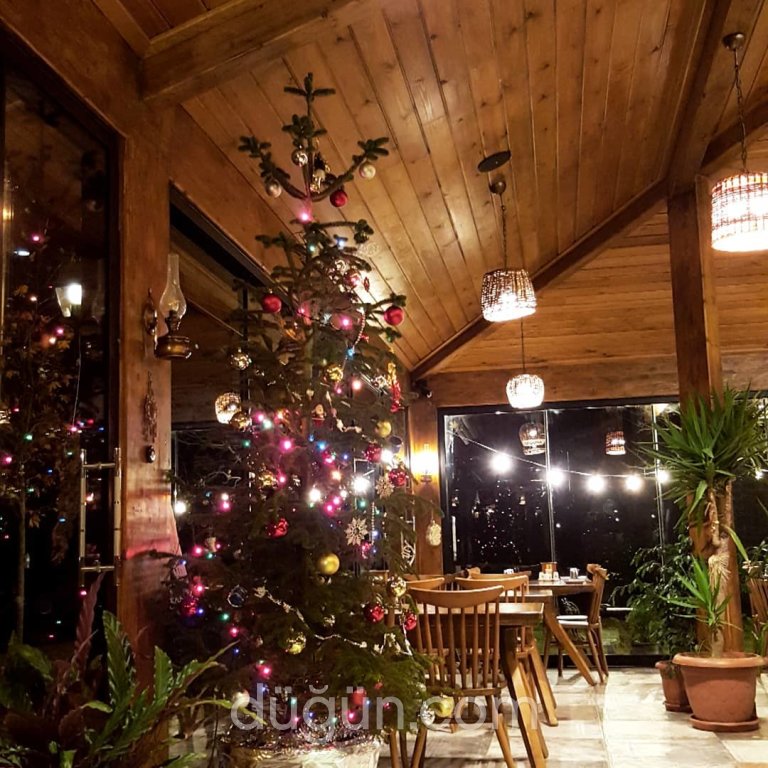 Kahvaltı ve Ötesi Balık