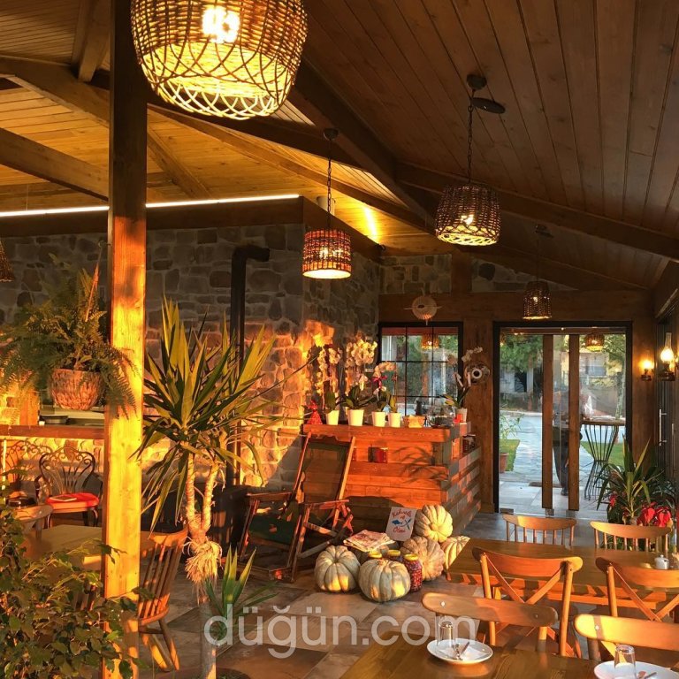 Kahvaltı ve Ötesi Balık