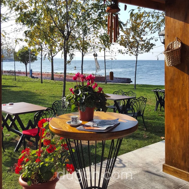 Kahvaltı ve Ötesi Balık