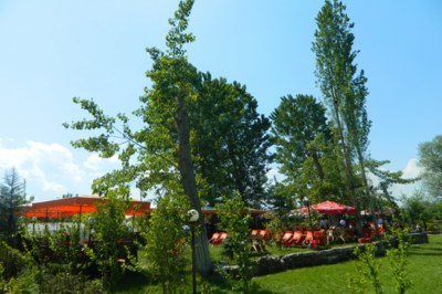 Akpınar Alabalık Tesisleri