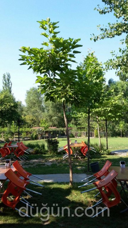 Akpınar Alabalık Tesisleri