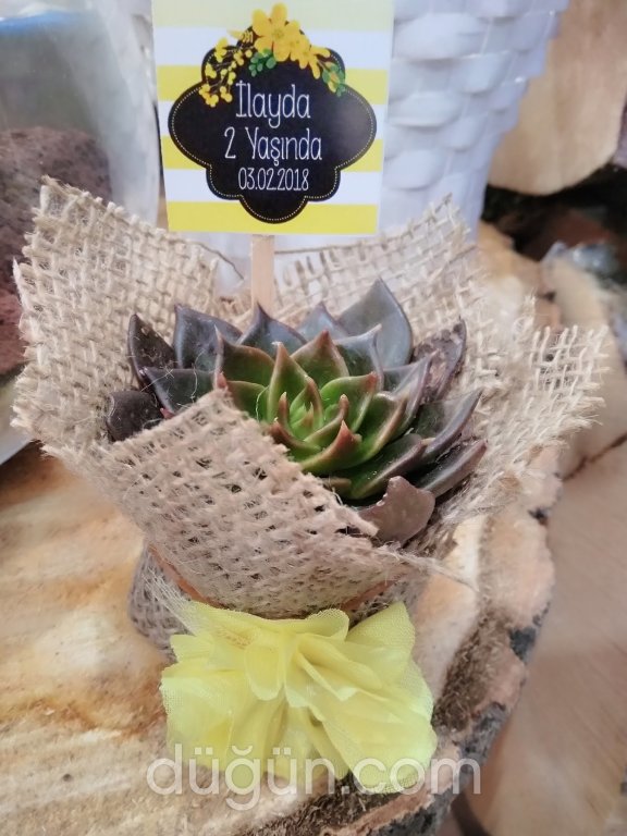 İklim Çiçekçilik & Organizasyon