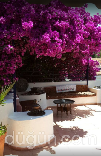 Dalyando Apart Hotel