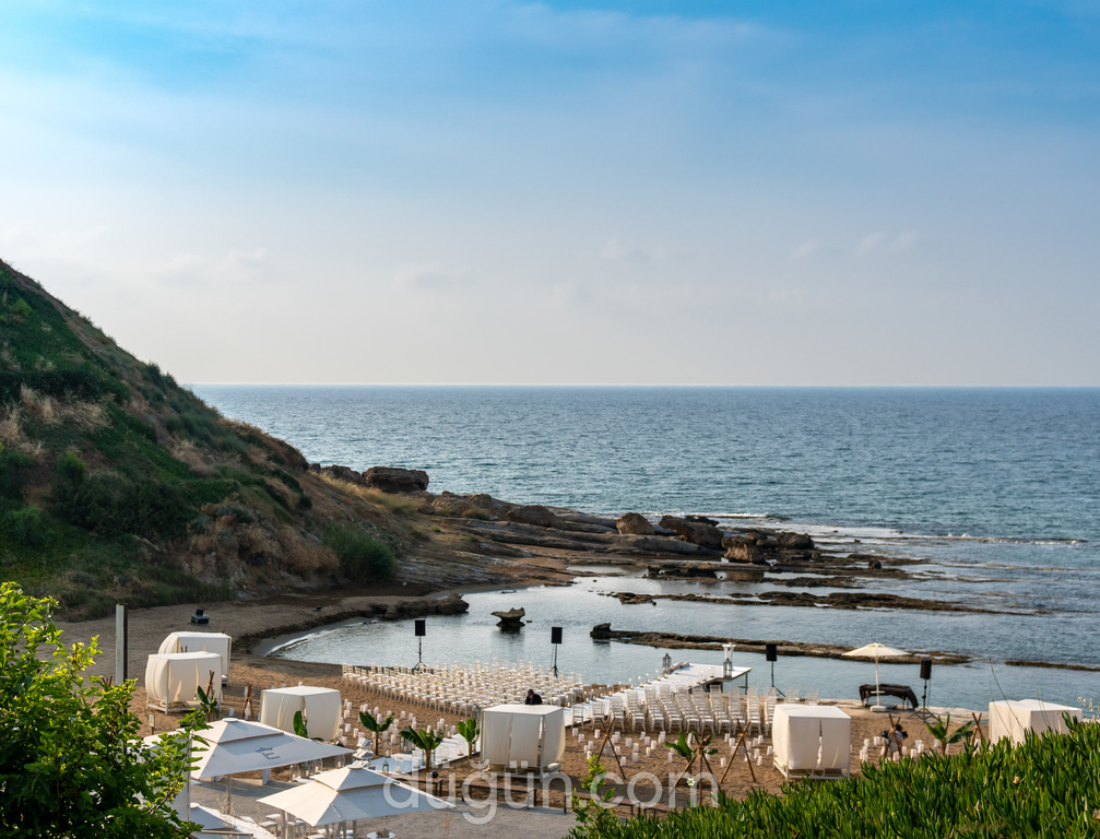 Elexus Hotel & Resort & Spa