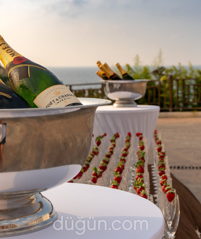 Elexus Hotel & Resort & Spa