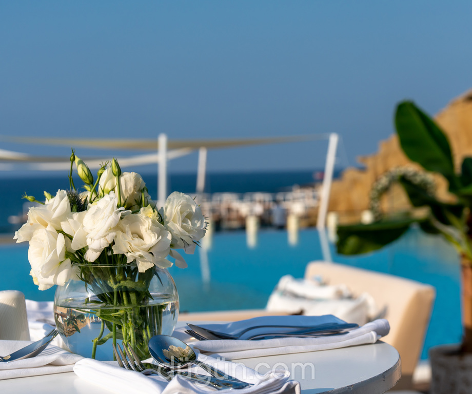 Elexus Hotel & Resort & Spa