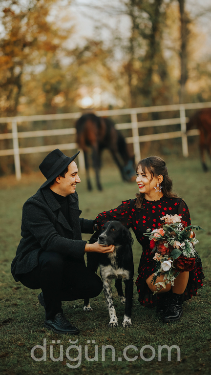 Zirve Fotoğrafçılık