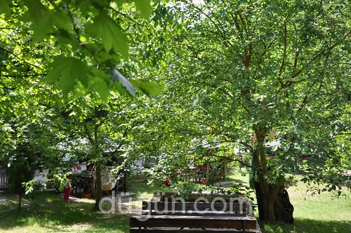 Boğaziçi Restaurant & Butik Otel