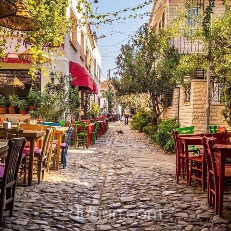 Şef Mehmet'in Balık Evi