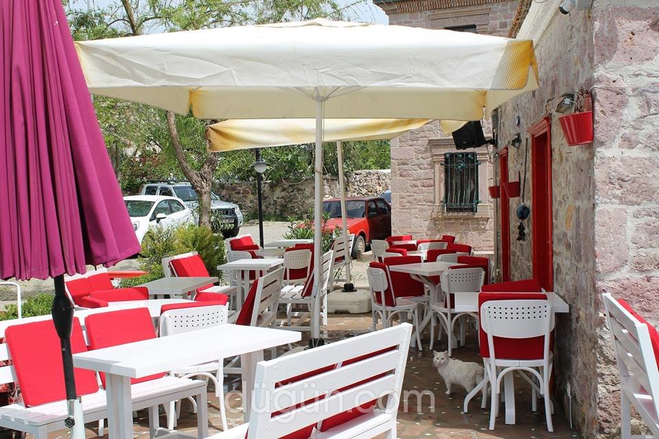 Şef Mehmet'in Balık Evi