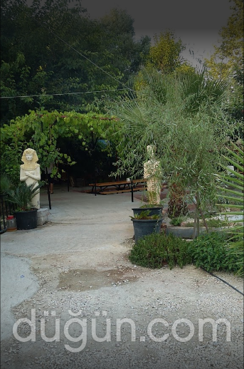 Elvanlı Pınarbaşı Restaurant