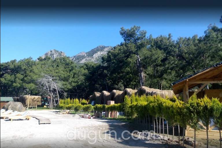 Green Pine Beach & Bungalows