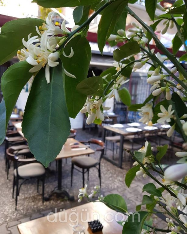 Goya Yeni Nesil Meyhane