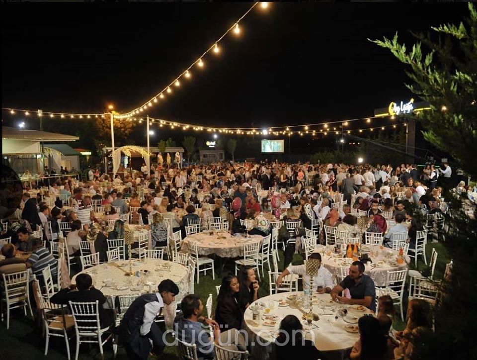 Ayışığı Kır Bahçesi